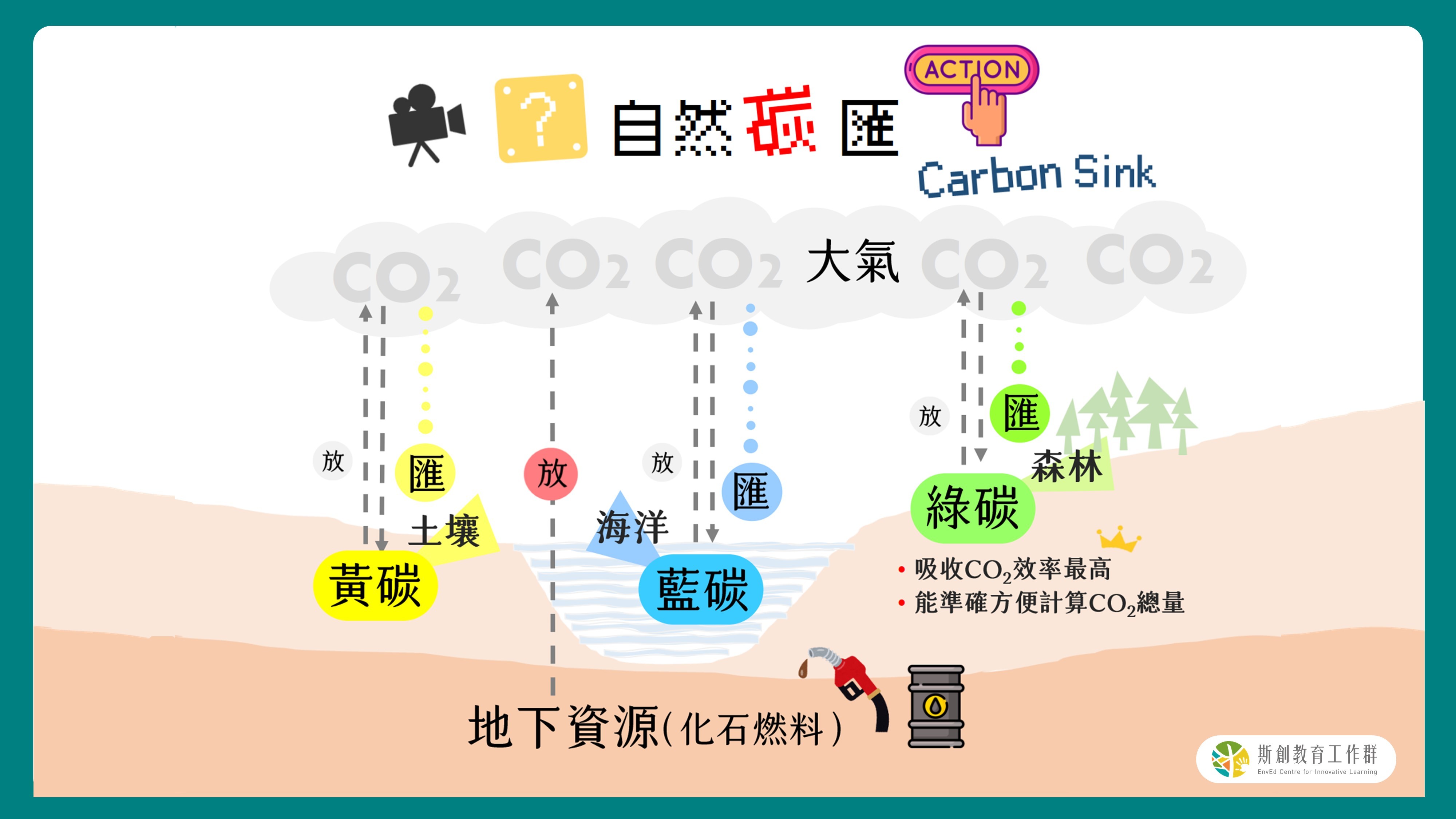 森林，碳的綠色倉庫